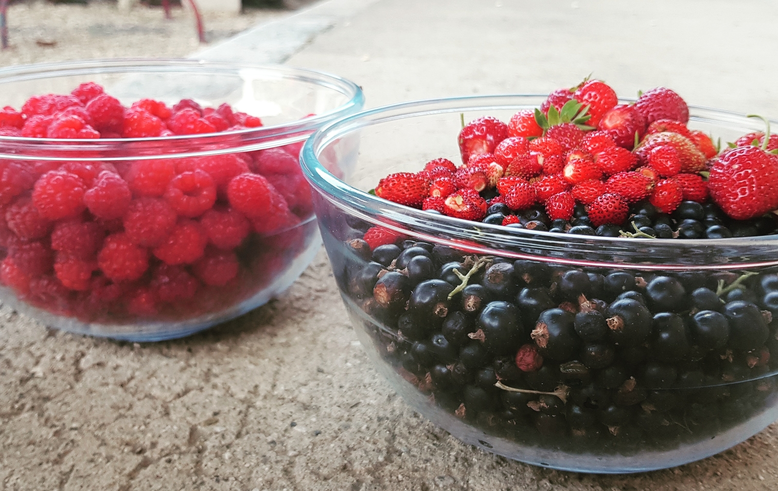 Petits fruits du jardin