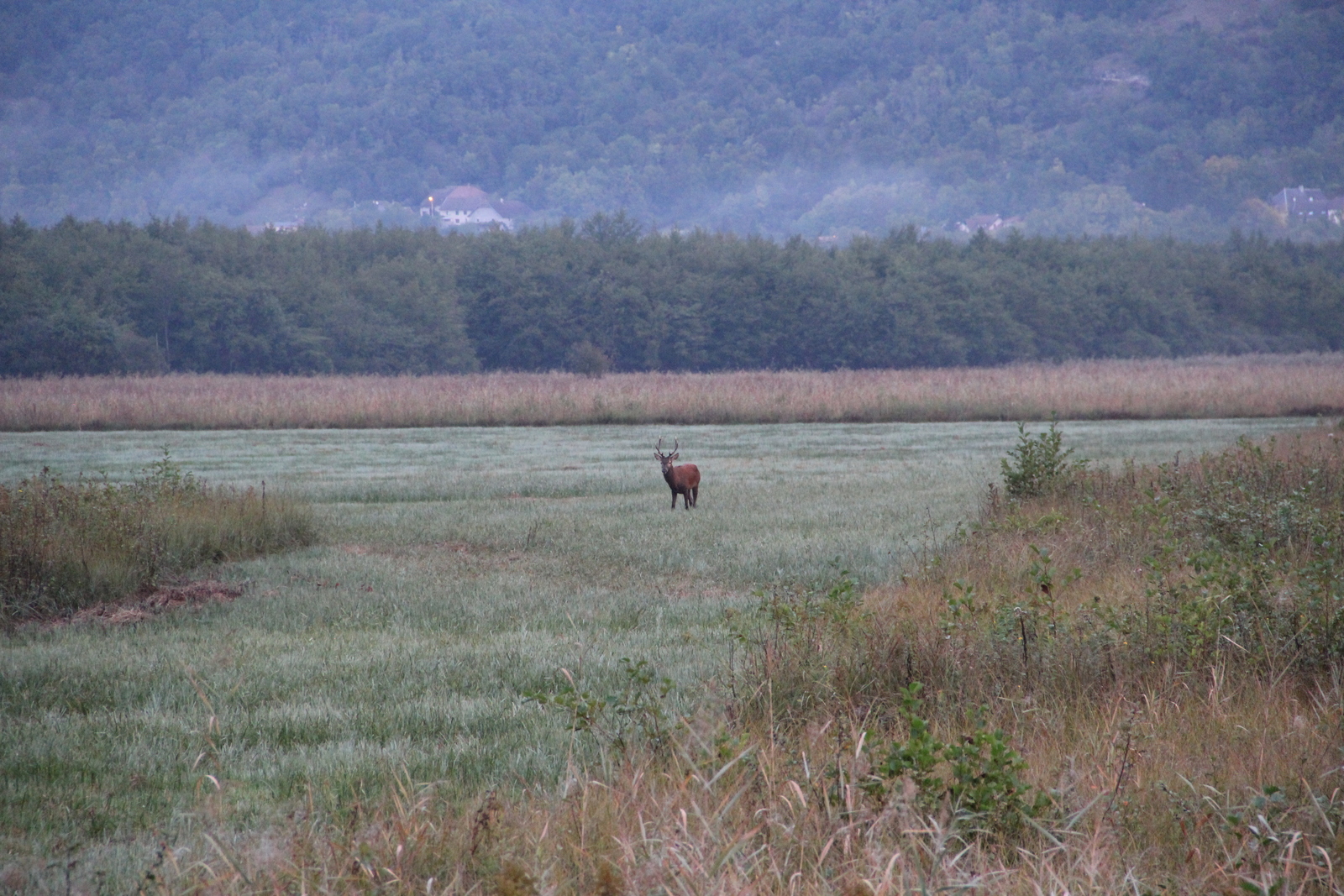 Paysage